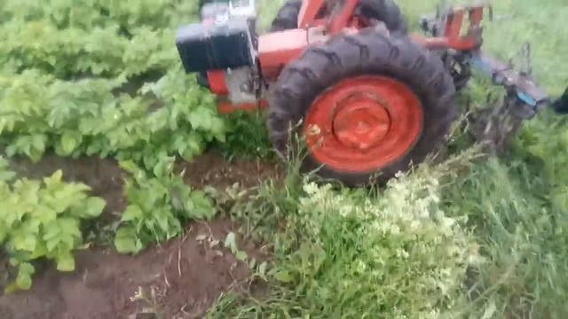 Ёжики для прополки картофеля мотоблоком смотреть онлайн