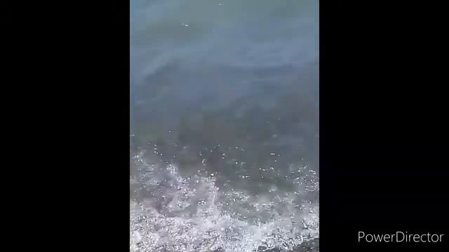 #Vlog: 2 дня со мной на МОРЕ/ местный МАГАЗИН/ плаваю в Бассейне #СочиАдлер