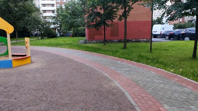 Как бордер-колли Шанти играет в прятки с мячиком смотреть онлайн