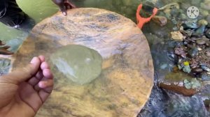 Доминикана/ Рустам Борода, Дд и Марат Серый Копатель  ищем золото в джунглях Доминиканы