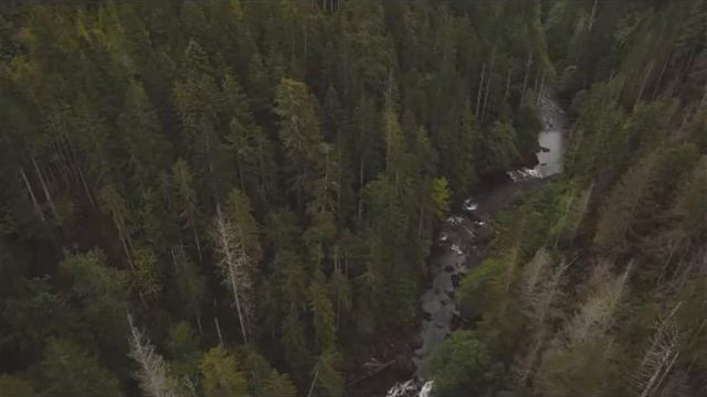 Дом гаданий,легенда от сталкера ??????♂️ смотреть онлайн