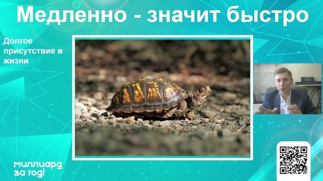 Квест М4. Курс на осознанность. Как устроена игра