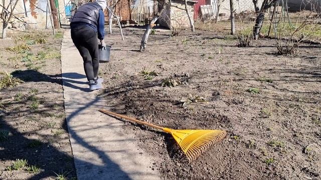 Хочу продать велосипед, Огород готов к посадке, Посадила лук на зелень, щавель и петрушку, Моя дача смотреть онлайн