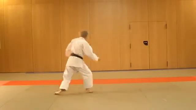 Taikyoku Nidan - video du Kata Préparatoire - Karaté style Shotokan смотреть онлайн