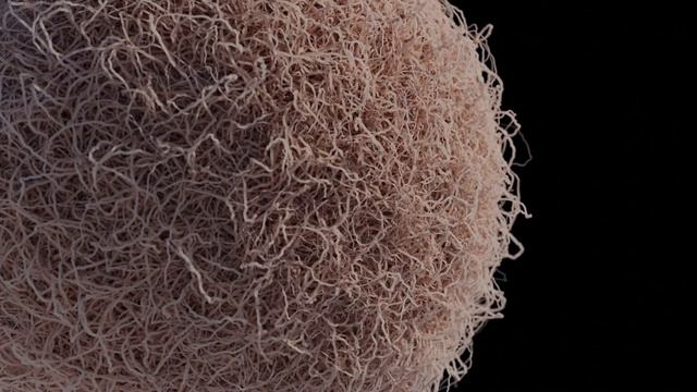 Root Growth - Geometry Nodes - Blender смотреть онлайн
