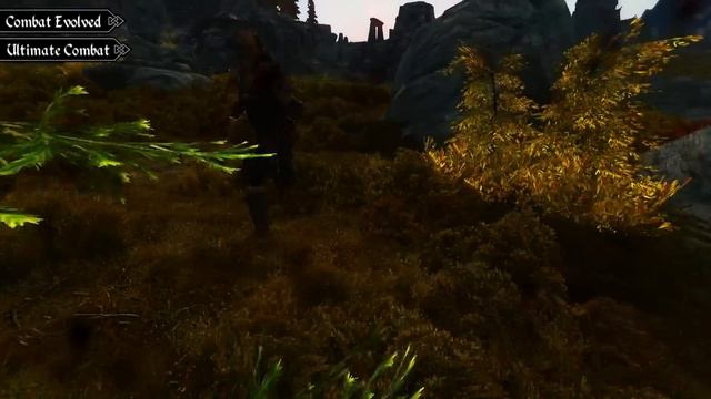 Skyrim Mod: Combat Evolved смотреть онлайн