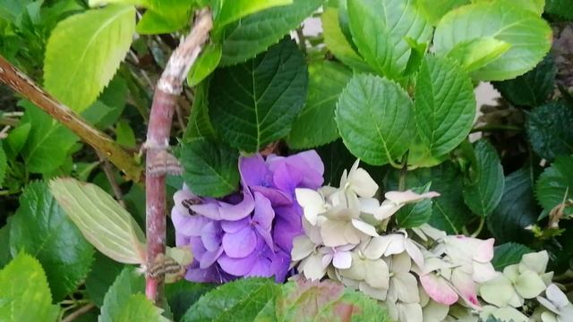 Вот и прошло оно жаркое лето. смотреть онлайн