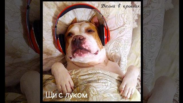 Щи с луком смотреть онлайн