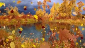 За летом осень, а за осенью зима....