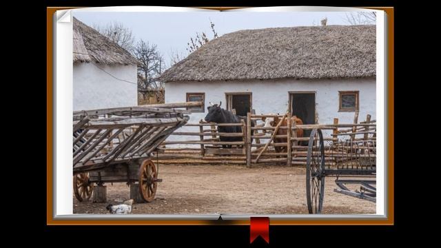 Региональная краеведческая акция «Картотека писателей Дона» смотреть онлайн