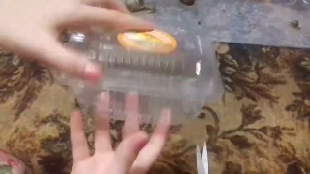 Первое видео! Показываю улиток и как сделать домик для улиток? | Anastasia Selehova смотреть онлайн