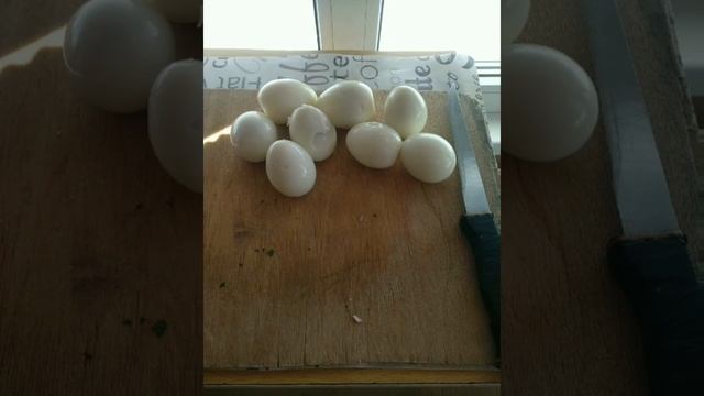 Суп холодник/холодный борщ/обед гасторбайтера