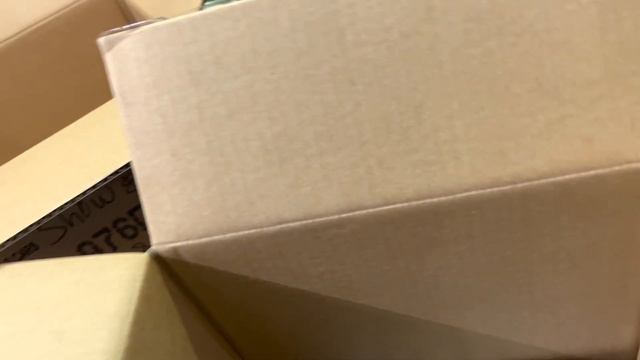 Playdays Collectibles Taco Tuesday morning unboxing & Hotwheels show & tell. 2.28.23 смотреть онлайн