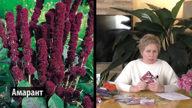 СЕЗОН 2020: ЧТО ПОСЕЯТЬ В АПРЕЛЕ - ЦВЕТЫ! смотреть онлайн