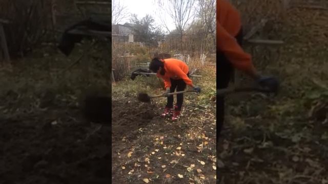 Готовим землю к посадке чеснока.#дача#Иссык смотреть онлайн