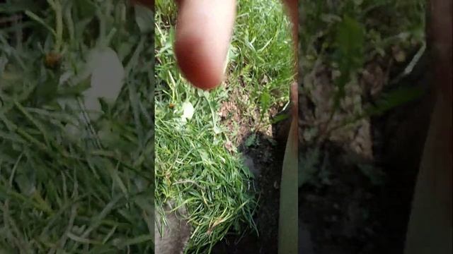 новый спа салон рассказал номер телефона смотреть онлайн