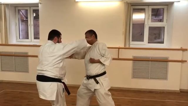 Papuren kata karate Hakaku Ken style / bunkai application смотреть онлайн
