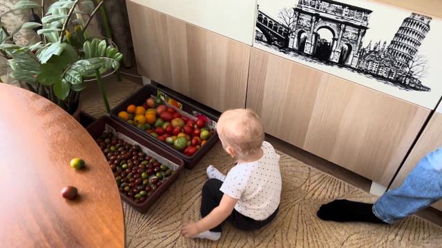 ДЕКРЕТНЫЕ БУДНИ:ПОЕЗДКА НА ДАЧУ/ХОТИМ КУПИТЬ ДАЧУ #уютныйвлог #семейныйконтент #семейныйвлог смотреть онлайн
