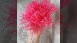 Брошь Хризантема в цвете фуксия из ткани