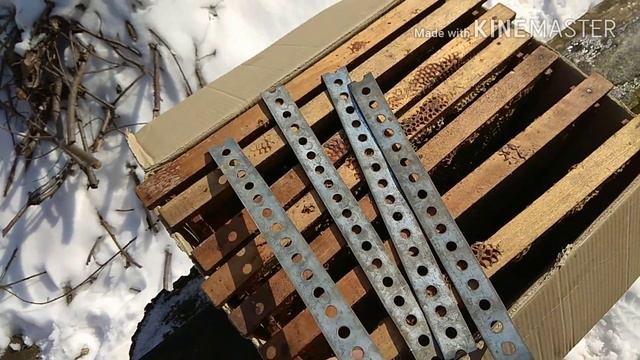 Сотовый обезболиватель Гребенникова