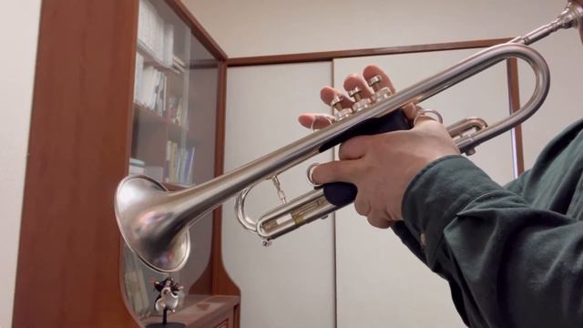 吹いてみた【Life is a merry-go-round】ー 森井奈緒 смотреть онлайн