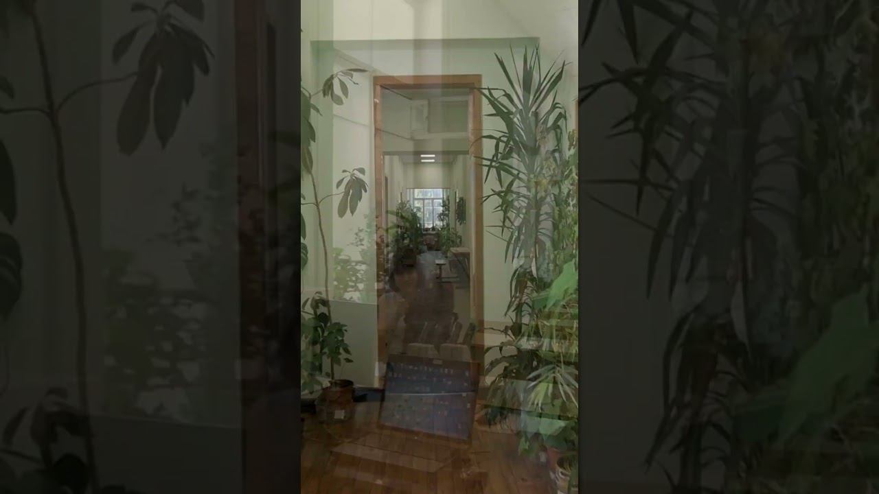 #СПбГЛТУ - виды вуза #4 смотреть онлайн