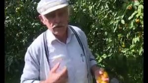 СПЕЦРЕП КЛОП ВОНЮЧКА  19 10 16