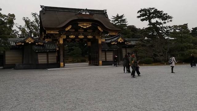 ЯПОНСКИЕ УЛИЦЫ: Как живут простые Японцы? Гейши, Идеальные Дороги и Авто из Японии. Япония Птушкин смотреть онлайн