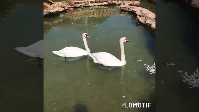 Санаторий Каспий смотреть онлайн