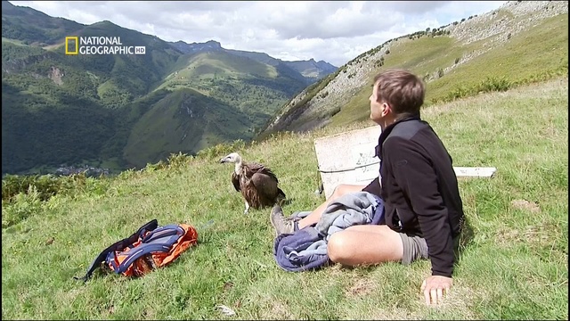 Pyrenees смотреть онлайн