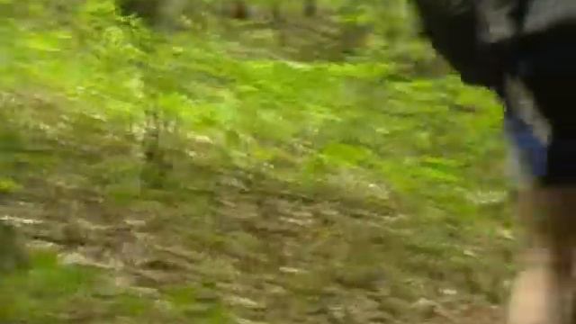 Mountainbike Harzberg Strecke смотреть онлайн