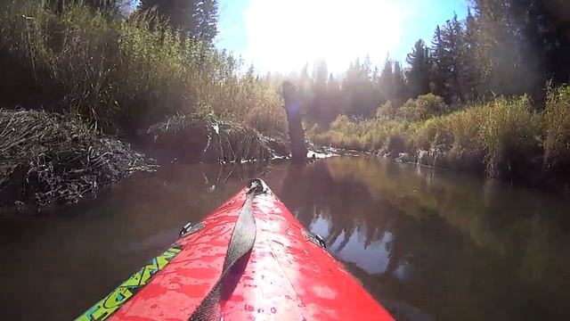 И опять не доплыли до Тайгата