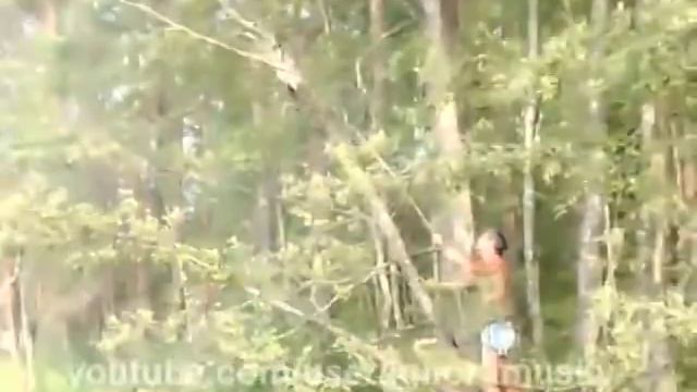 Как вытрясти душу из кота!.mp4 смотреть онлайн