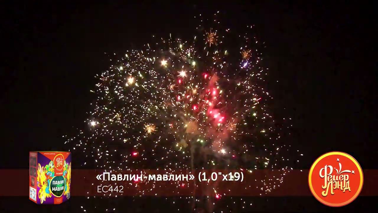 EC442 смотреть онлайн