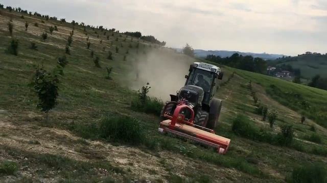 Обработка междурядий от сорняка. Фундуковый сад. Италия смотреть онлайн