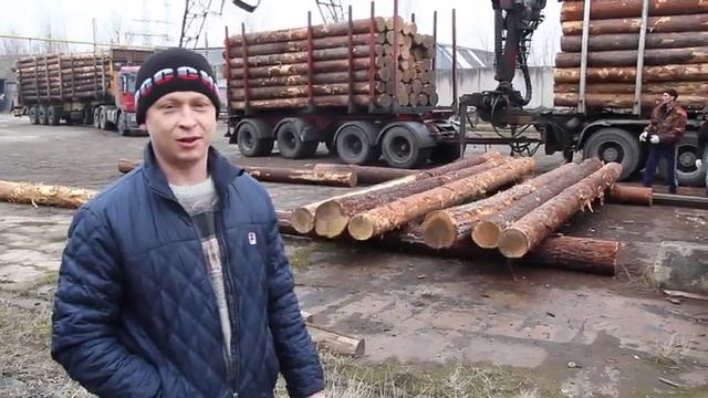 Недорогие срубы. Закупили карельскую сосну смотреть онлайн