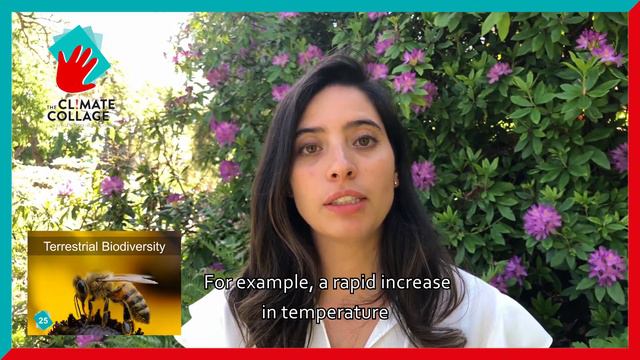Faces of CC: Terrestrial Bodiversity (Card n°25) with Alexandra смотреть онлайн