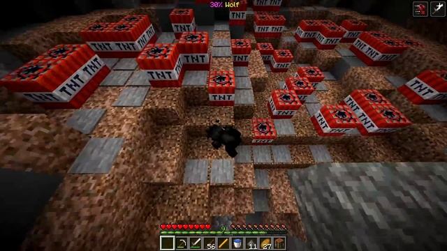 Minecraft But What's This Wolf?!