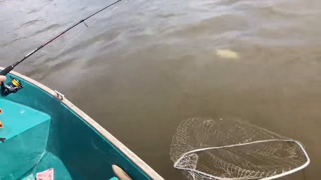 Астрахань Рыбалка 2018 смотреть онлайн