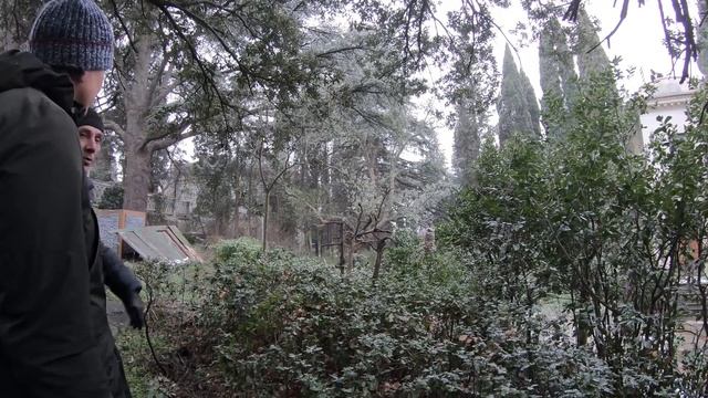 Котики и заброшки Крыма. Экскурсия по Алуште и Ялте смотреть онлайн