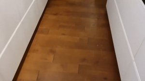 Алиса   лиса  Идет спать