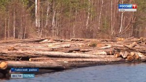 Плотогоны начали сплав леса