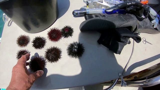 МОРЕ 2020-русалочка(ч.4) смотреть онлайн