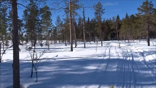 Skotertur till jaktstugan och Iggen (2023-03-12) смотреть онлайн