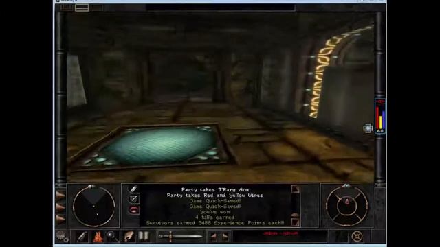Wizardry 8: Solo Faerie Ninja - 08 - Where the bugs dwell смотреть онлайн