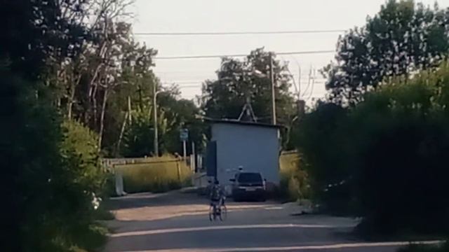 "Издали" : электропоезд "ЛАСТОЧКА" и электропоезд "САПСАН" проследовали платформу Трубниково смотреть онлайн