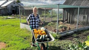 ВЫХОДНЫЕ В ДЕРЕВНЕ/МАРИНУЮ ОГУРЦЫ, ДЕЛЮСЬ РЕЦЕПТОМ/СОБИРАЮ УРОЖАЙ ЛУКА/МАМА В ГОСТЯХ