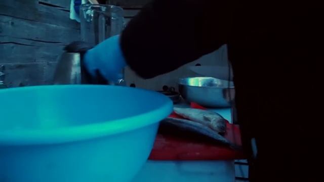 Тюлени Лоры Белоиван (YouTybe HD720)