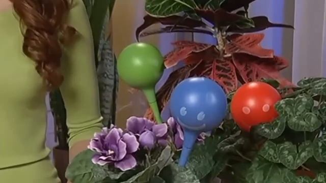 Колбы для автоматического полива цветов Plant Genie