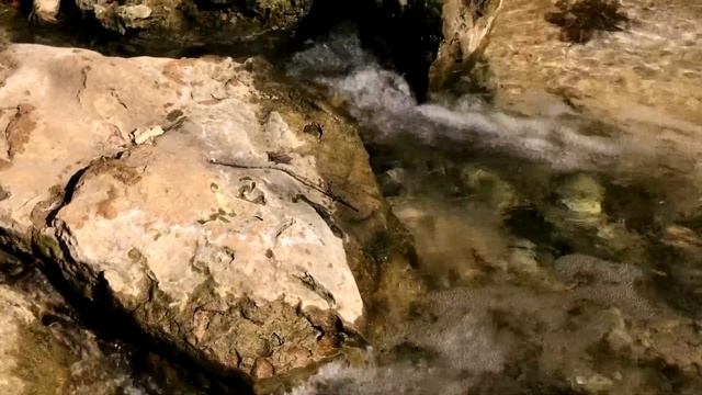 Таганрог - Михайловка [родник, зима 2020] смотреть онлайн